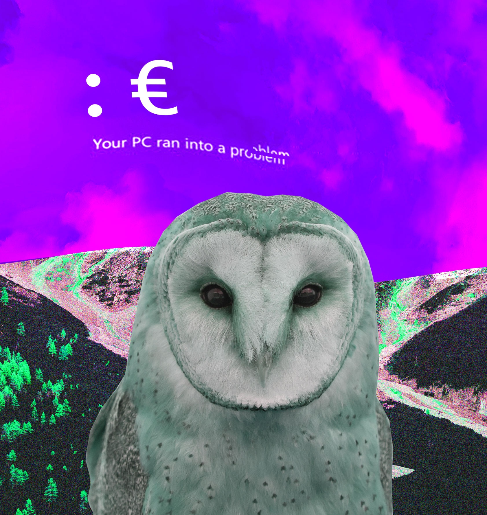 Owwwly